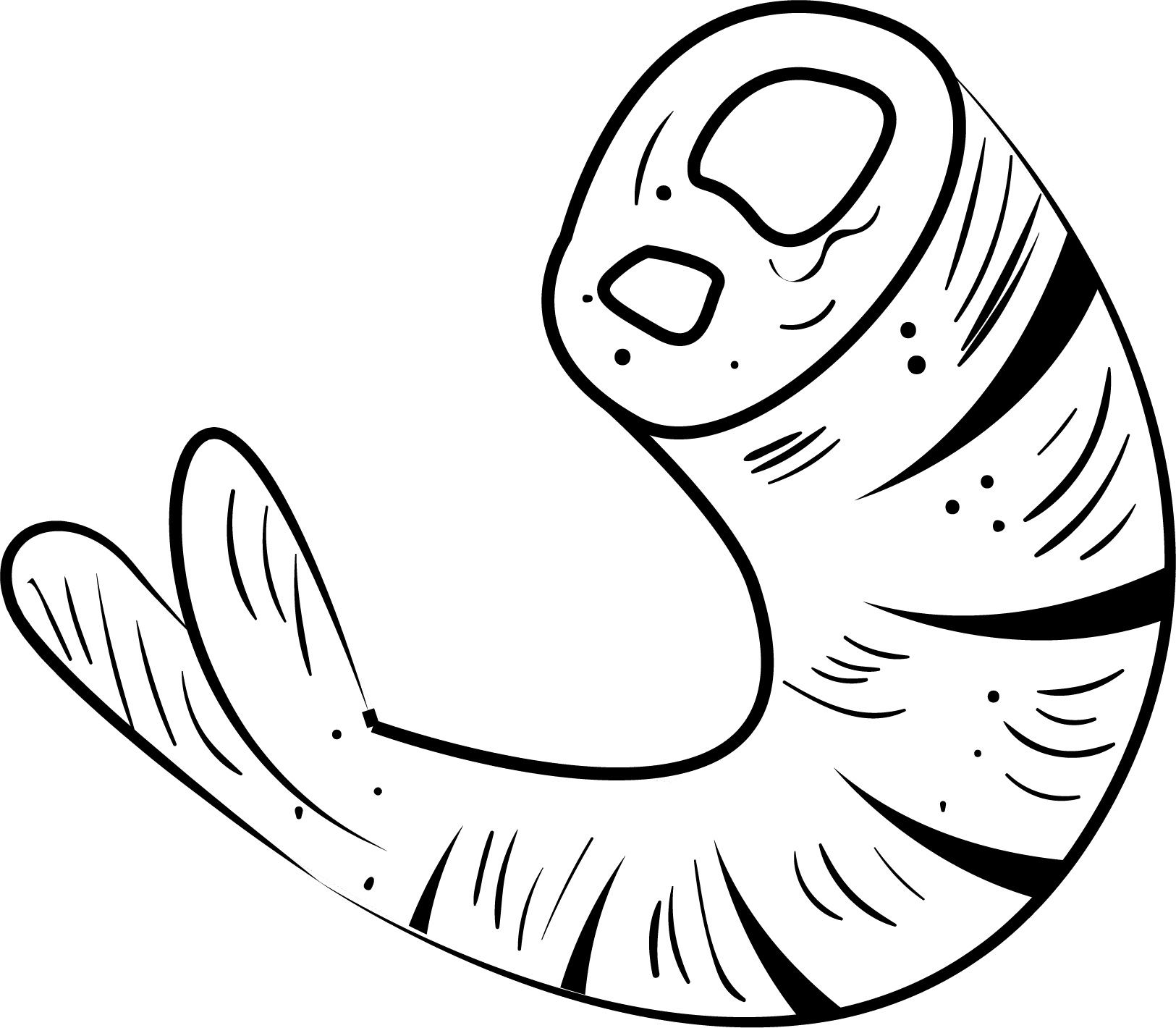 prawn